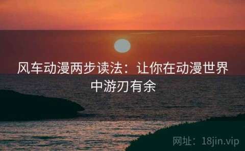 风车动漫两步读法：让你在动漫世界中游刃有余
