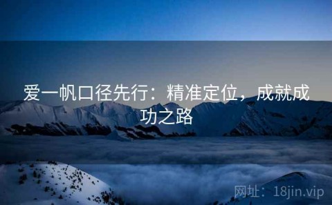 爱一帆口径先行：精准定位，成就成功之路