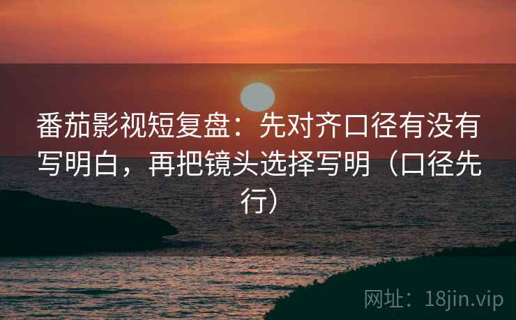 番茄影视短复盘：先对齐口径有没有写明白，再把镜头选择写明（口径先行）