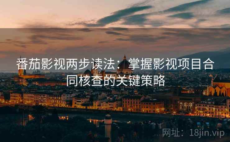番茄影视两步读法：掌握影视项目合同核查的关键策略